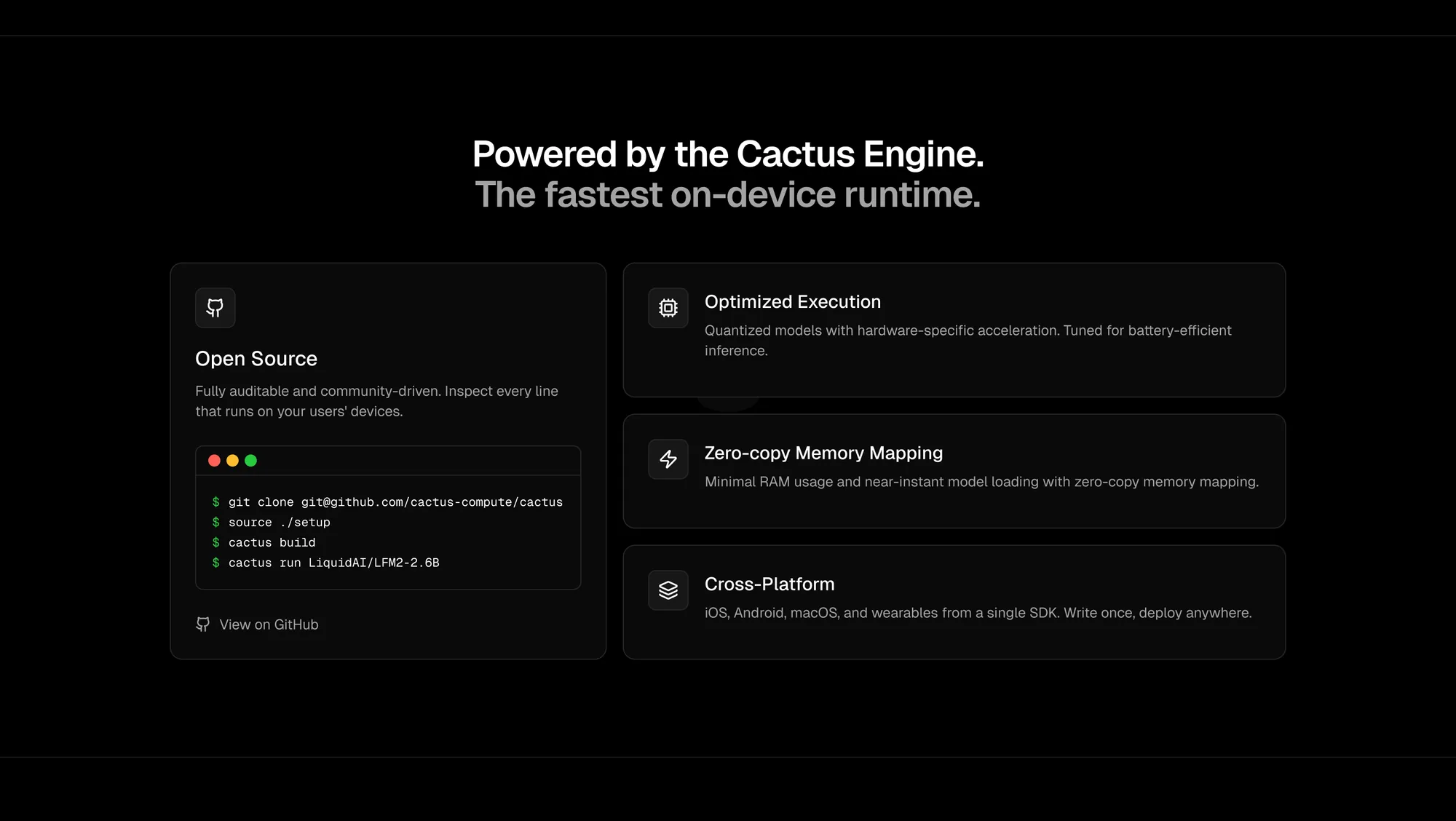 Cactus 2